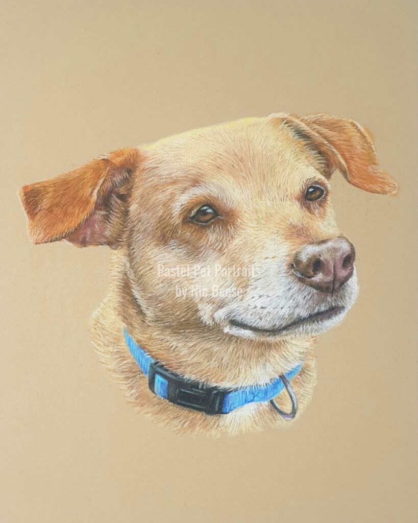 Hand-drawn pastel portrait of a Dog by artist Nic Beese