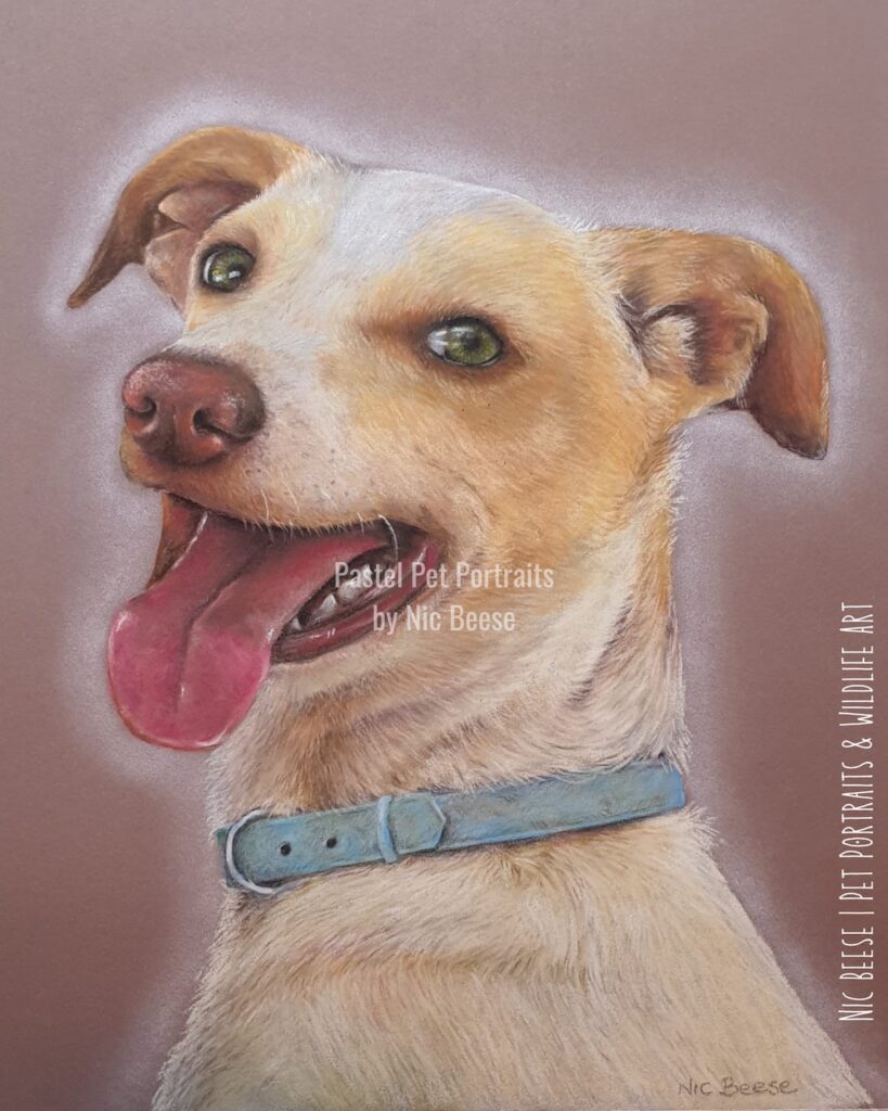 Hand-drawn pastel portrait of a Dog by artist Nic Beese