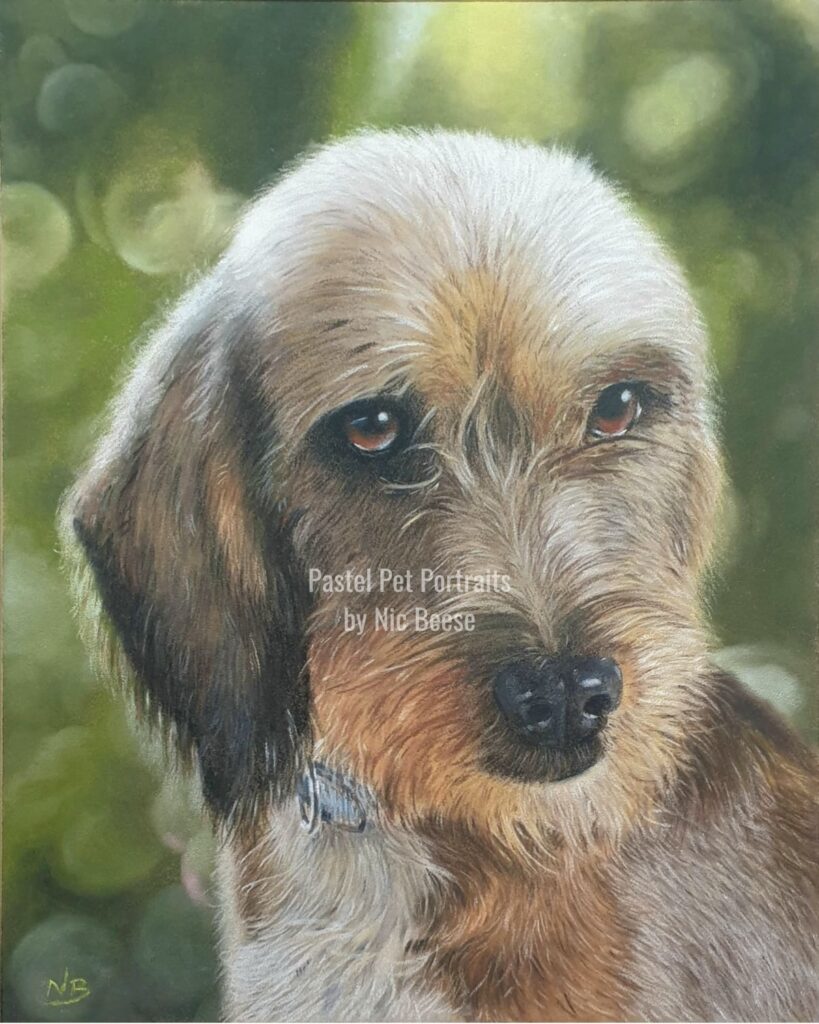 Hand-drawn pastel portrait of a Dog by artist Nic Beese