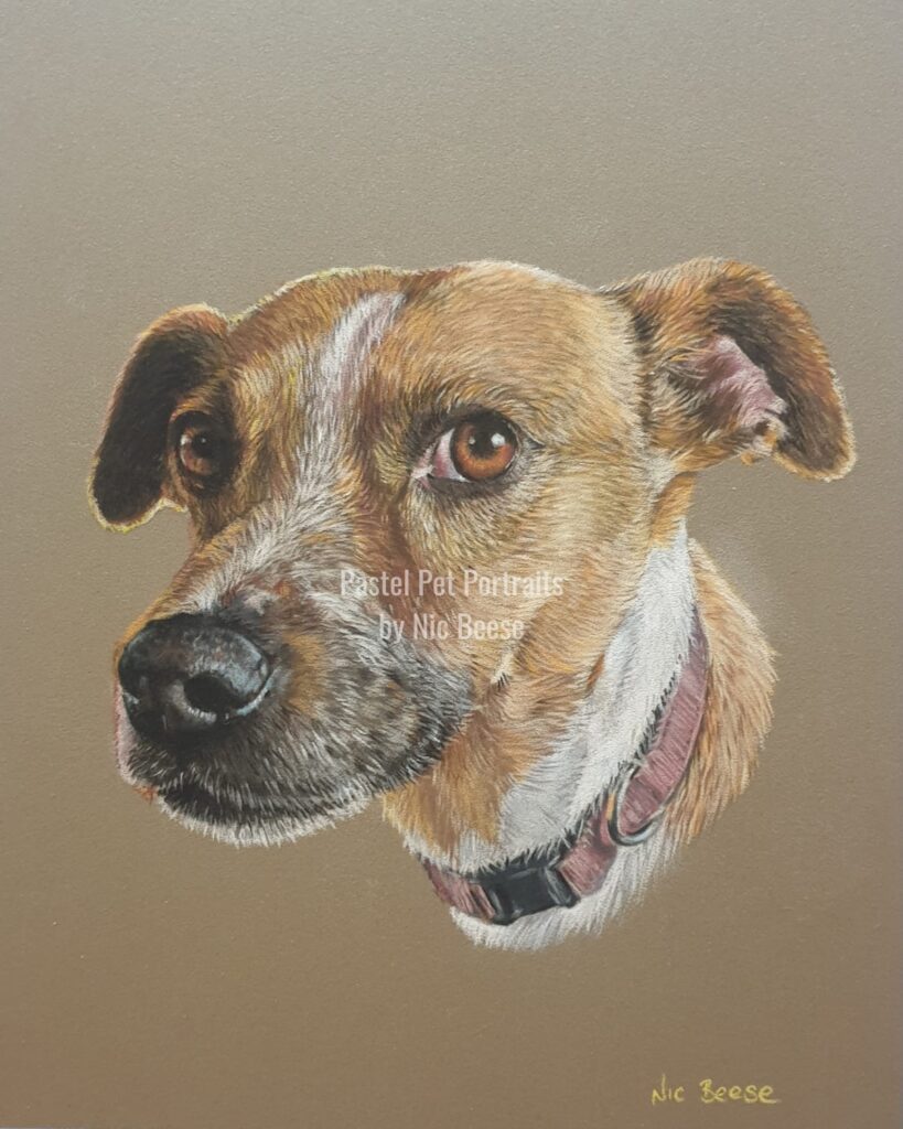Hand-drawn pastel portrait of a Dog by artist Nic Beese