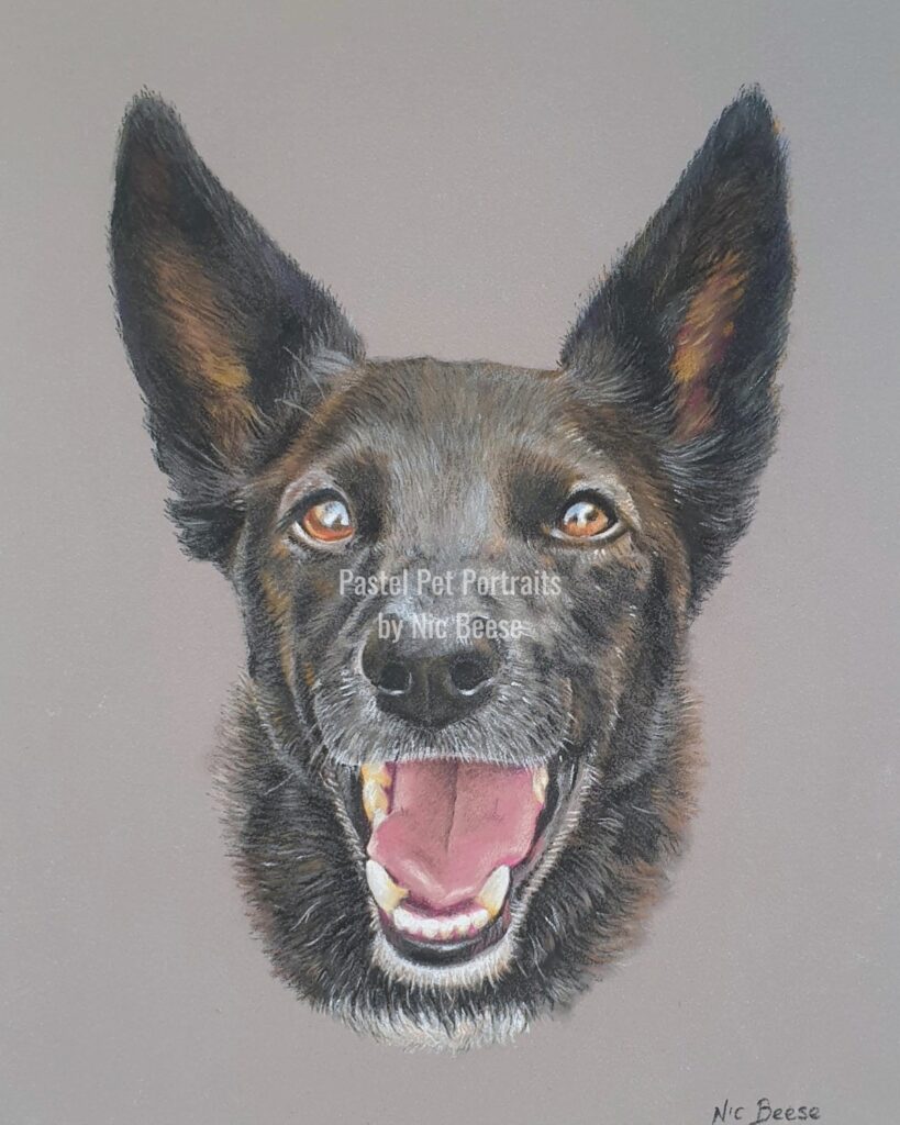 Hand-drawn pastel portrait of a Black Dog by artist Nic Beese