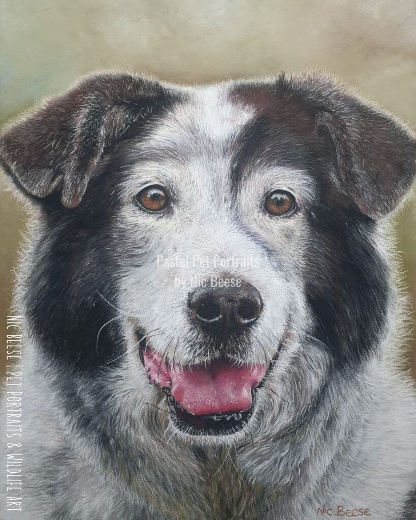 Hand-drawn pastel portrait of a Dog by artist Nic Beese