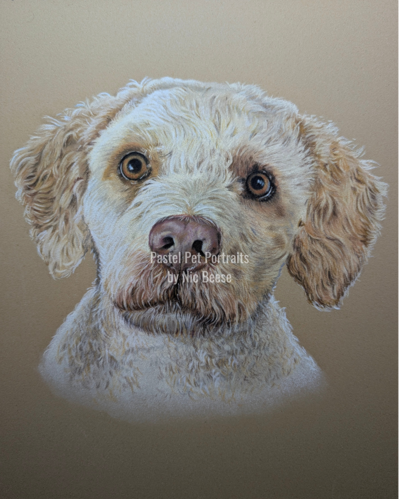 Coco Dog Pastel Pet Portrait by Nic Beese